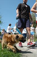 NAMIWalk07 (233) 